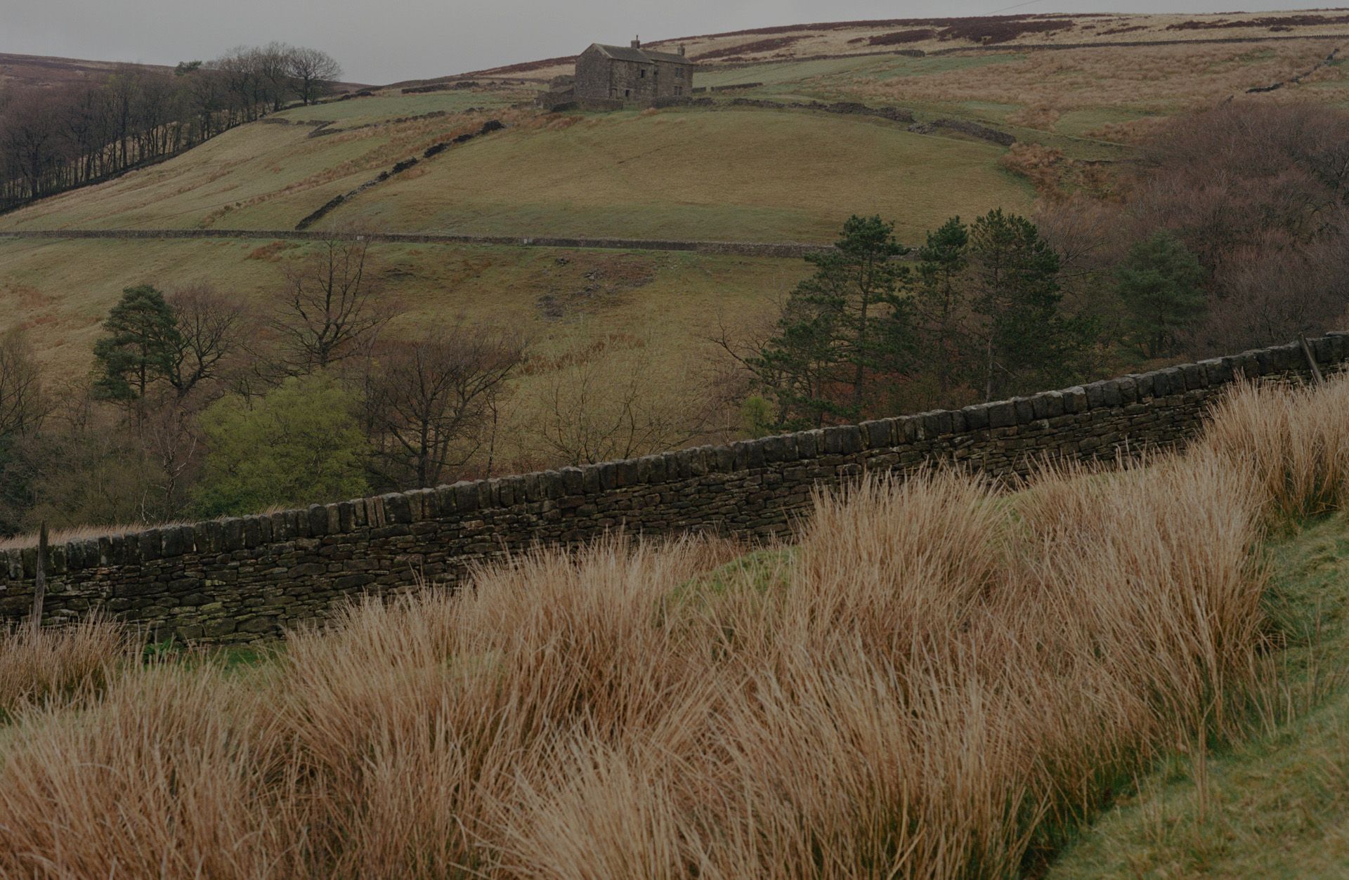 Background image of hills