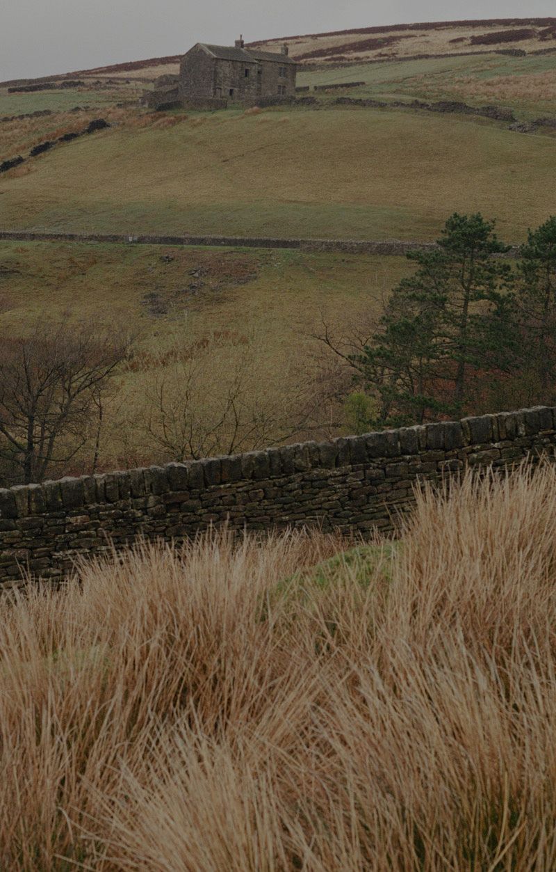 Background image of hills