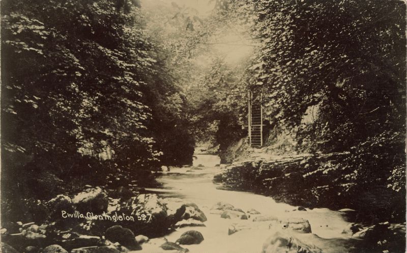 Black & white photo of a small creek running through a forest