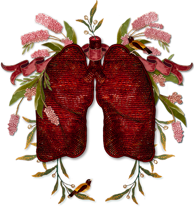 Lungs